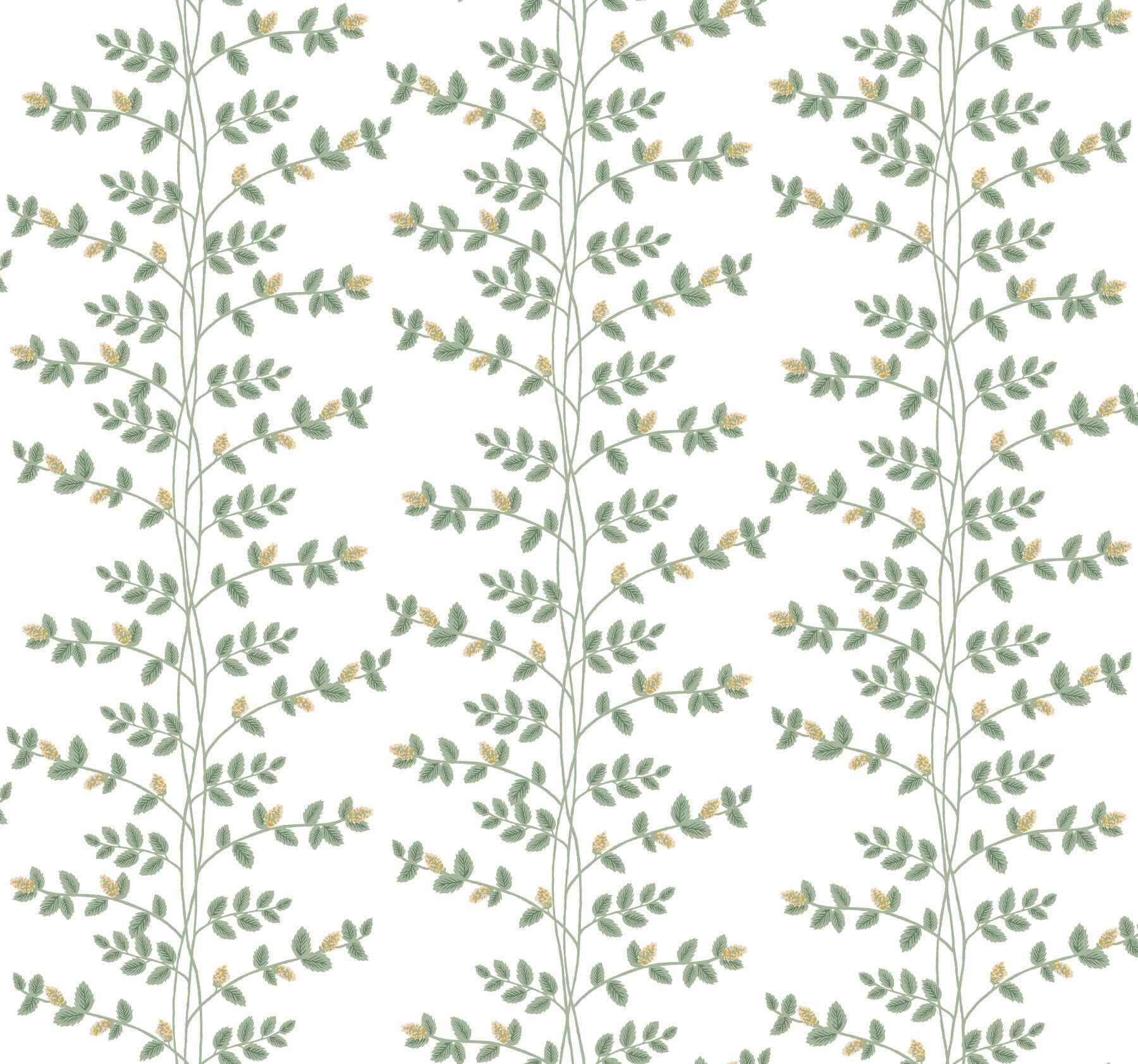 Climbing Vine Gold Wallpaper - York Wallcoverings - RF7424 - York Wallcoverings Wallpaper