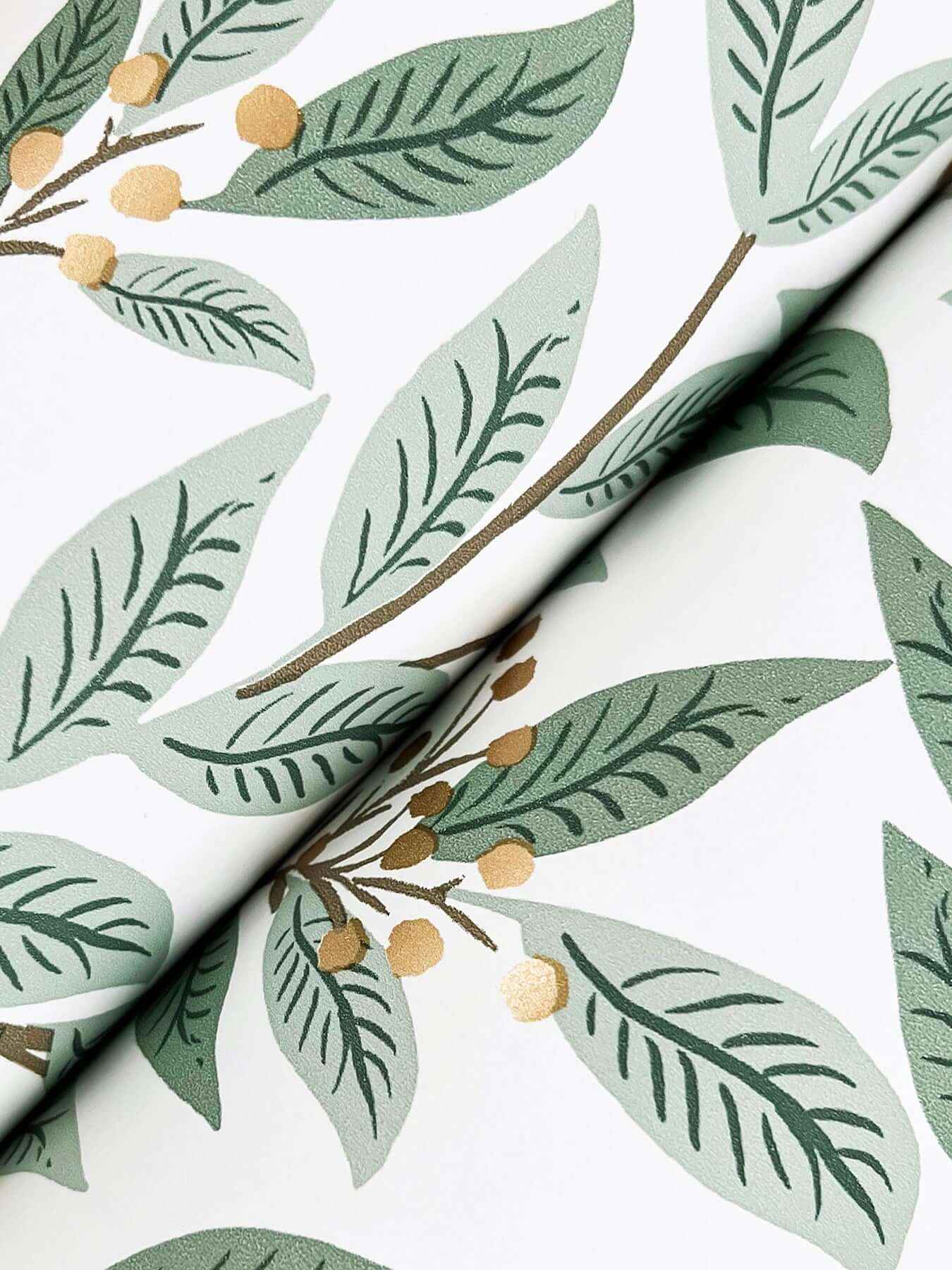 Willowberry Sage Wallpaper - York Wallcoverings - RF7465 - York Wallcoverings Wallpaper