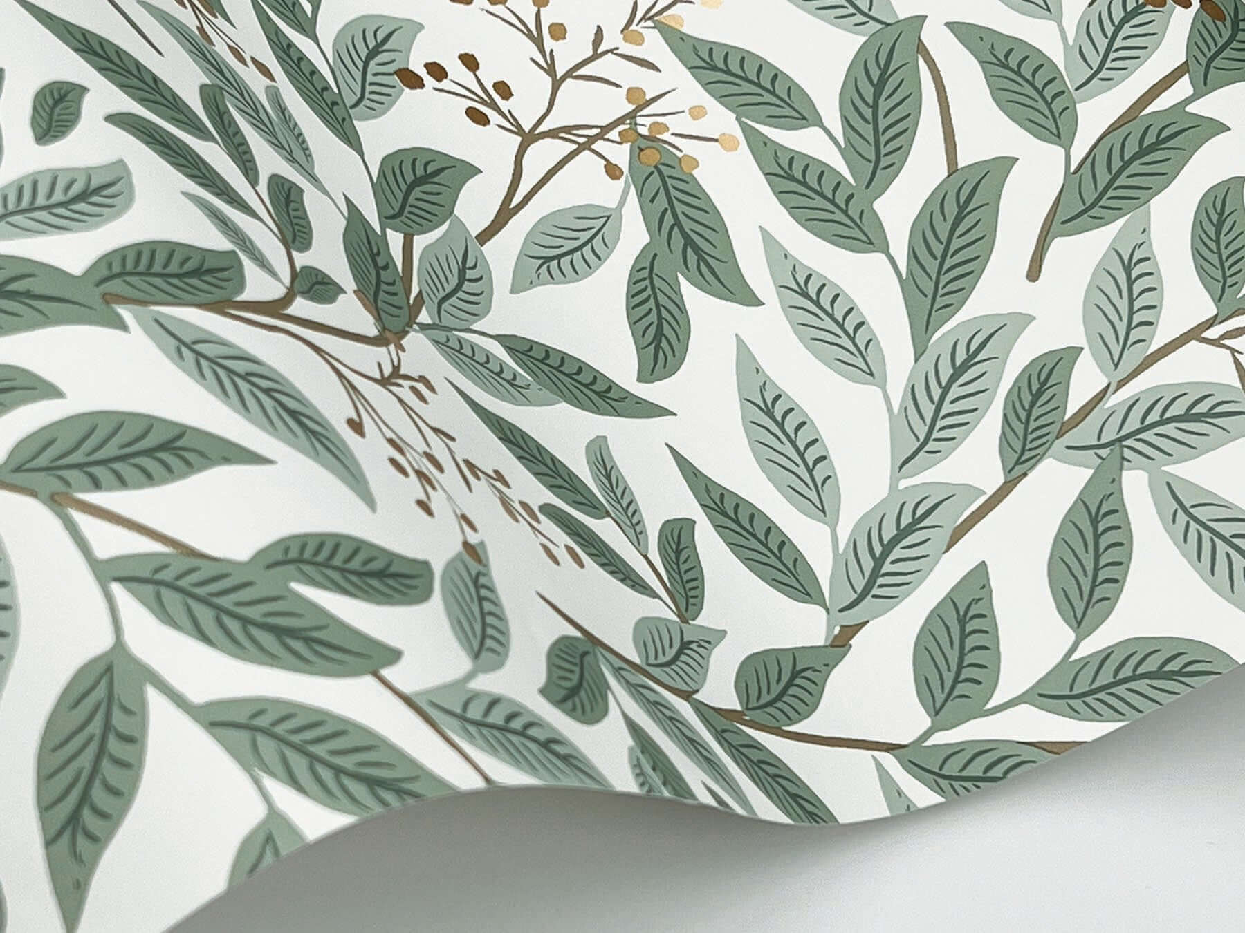 willowberry-wallpaper-sage-white-york-wallcoverings-rf7465 - York Wallcoverings Wallpaper