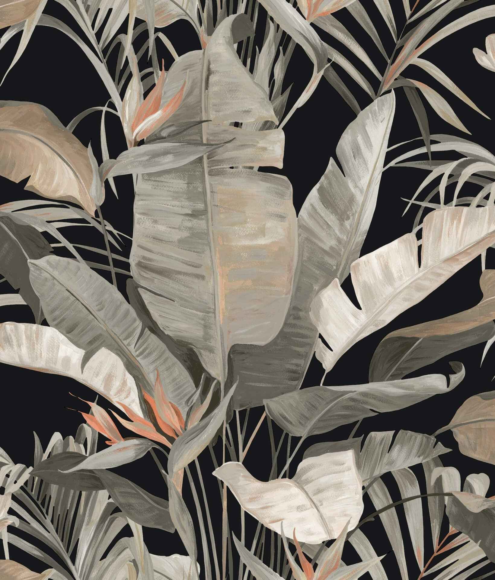 Tropical Black Cabana Wallpaper - York Wallcoverings - NT6135 - York Wallcoverings Wallpaper