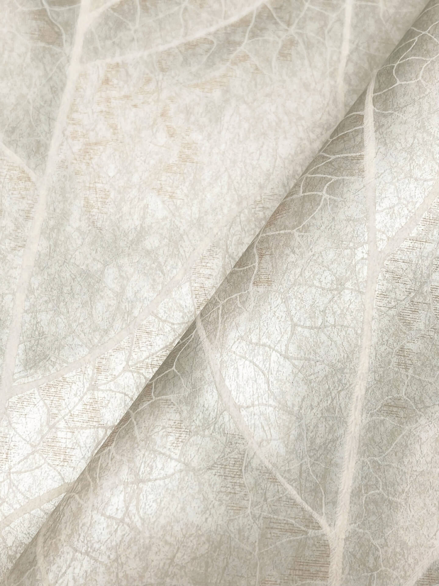 dicot-spa-leaf-wallpaper-light-green-york-wallcoverings-nt6142 - York Wallcoverings Wallpaper