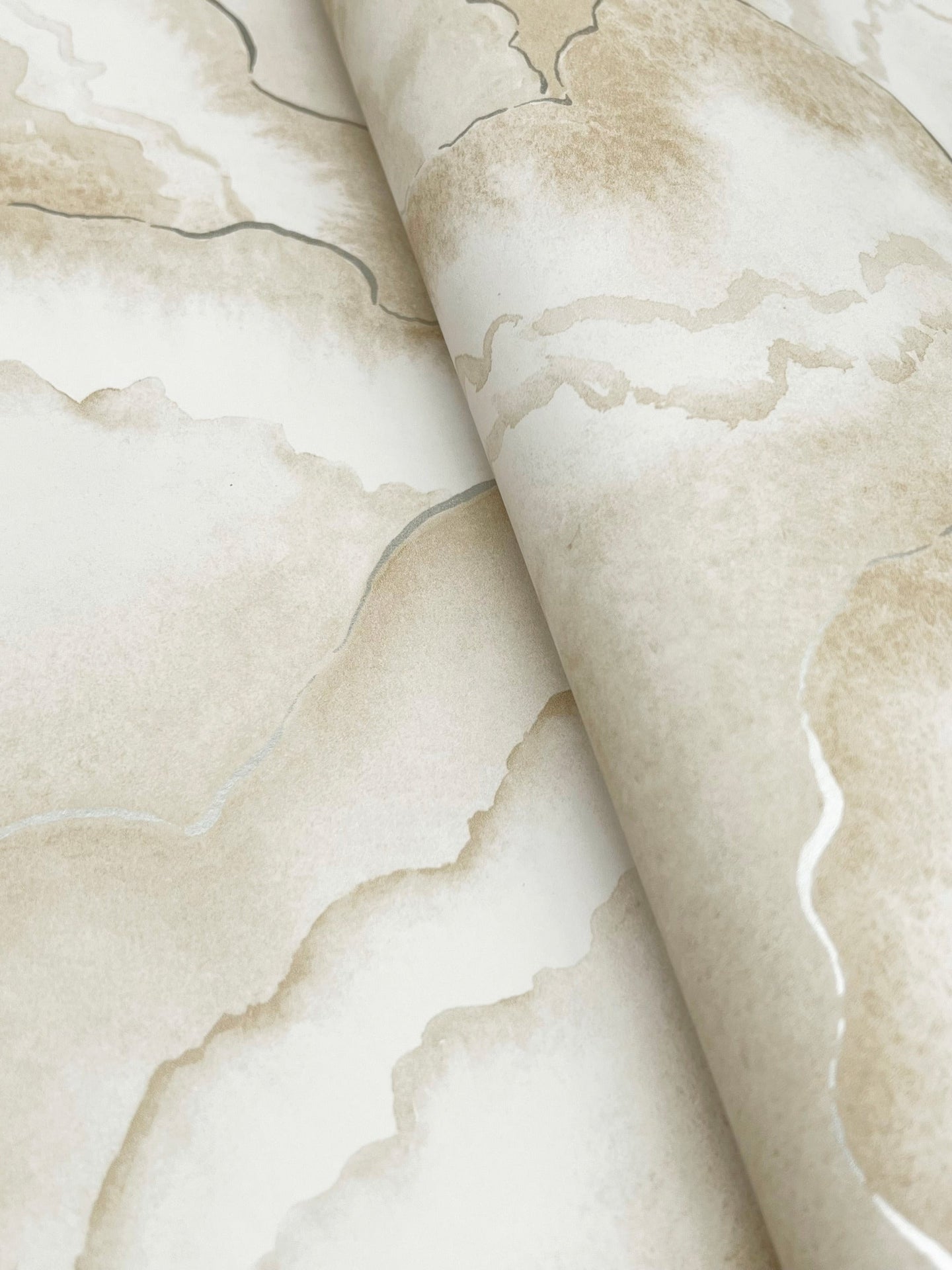 abalone-fans-wallpaper-sand-york-wallcoverings-nt6182