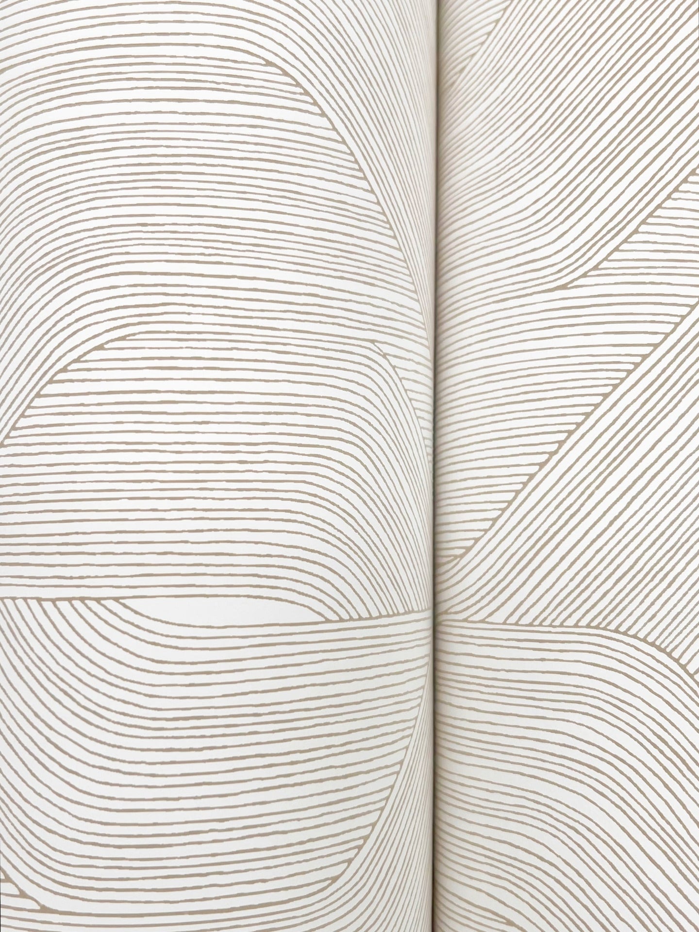 fine-line-geometric-wallpaper-taupe-on-white-york-wallcoverings-nt6193