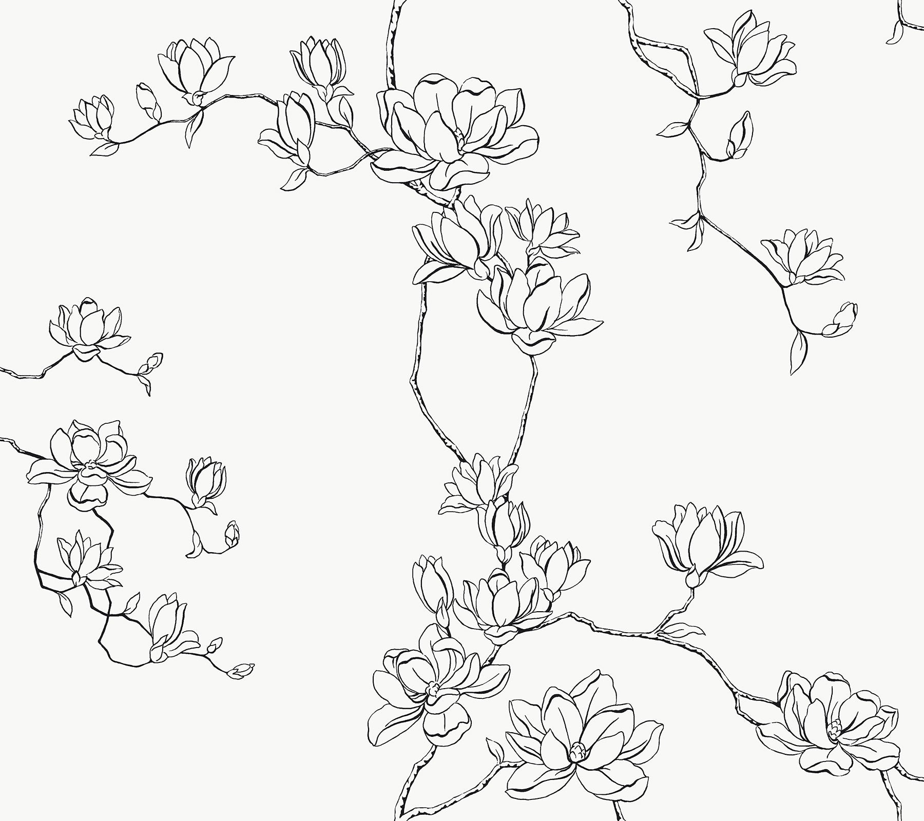 magnolia-branches-wallpaper-black-york-wallcoverings-mf4731