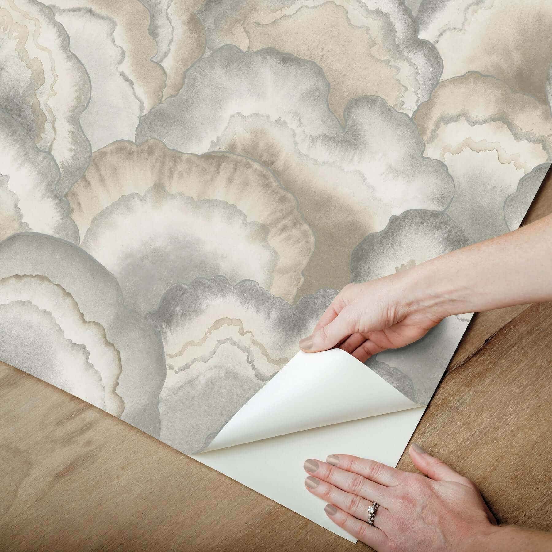 abalone-fans-premium-peel-stick-wallpaper-smokey-york-wallcoverings-psw1615rl - York Wallcoverings Wallpaper