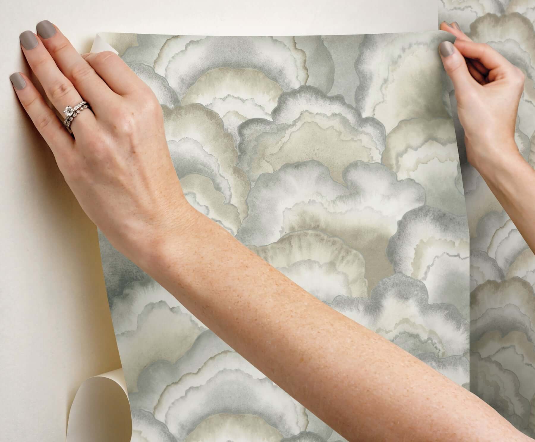 abalone-fans-premium-peel-stick-wallpaper-smokey-york-wallcoverings-psw1615rl - York Wallcoverings Wallpaper