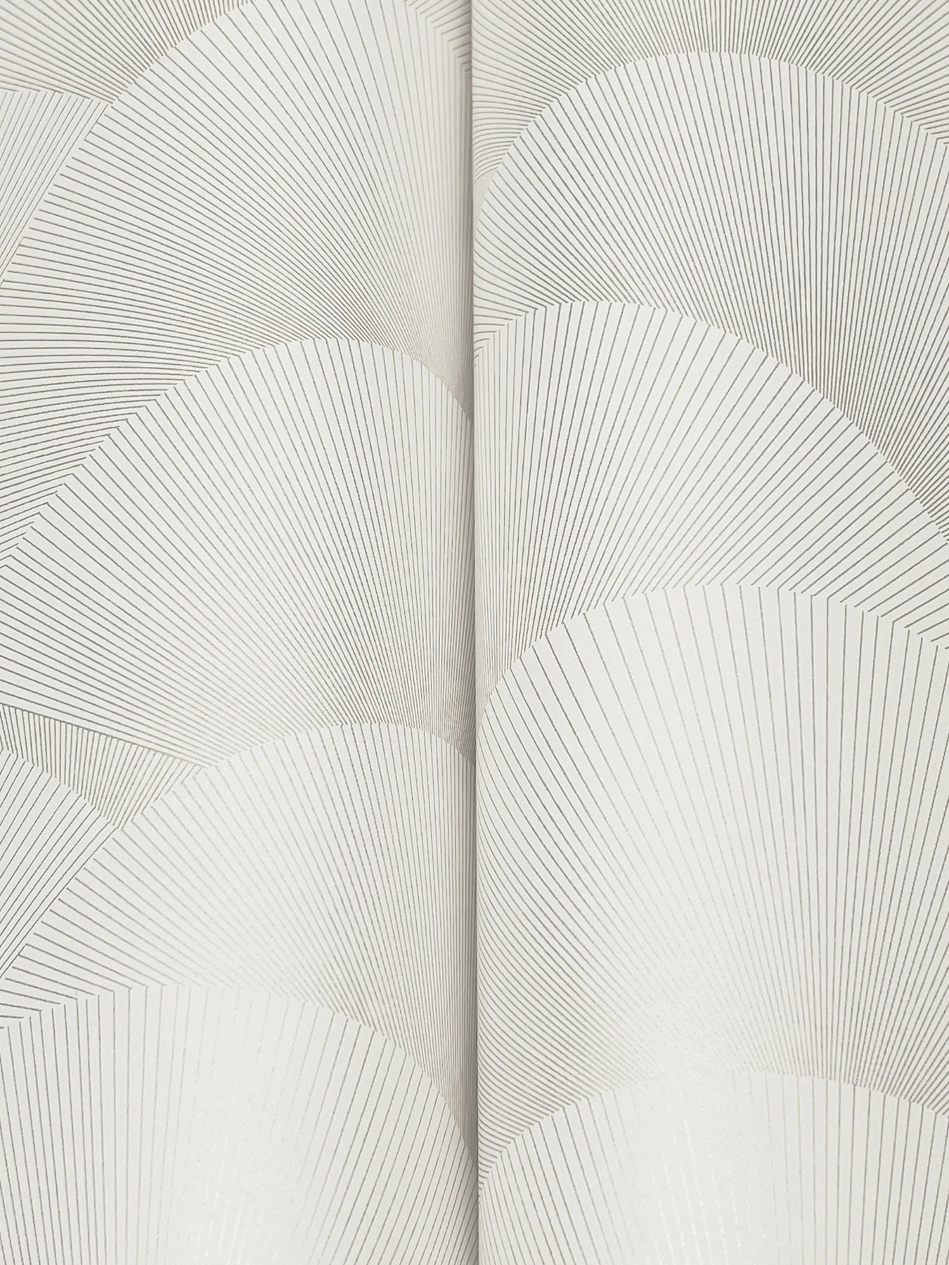 morning-shell-wallpaper-white-silver-york-wallcoverings-za8023