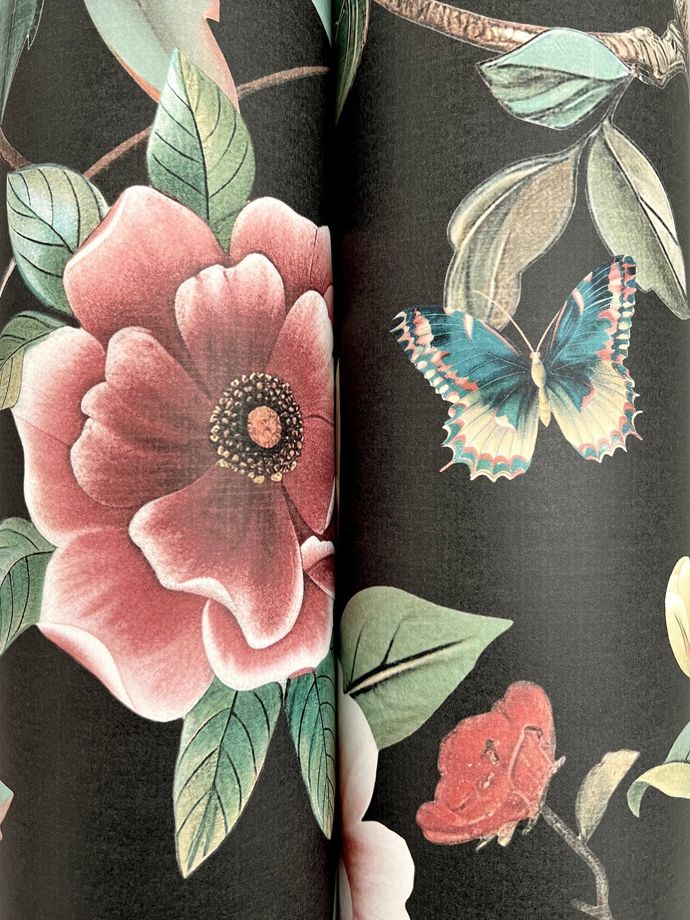 kimoras-garden-wallpaper-black-york-wallcoverings-za8038