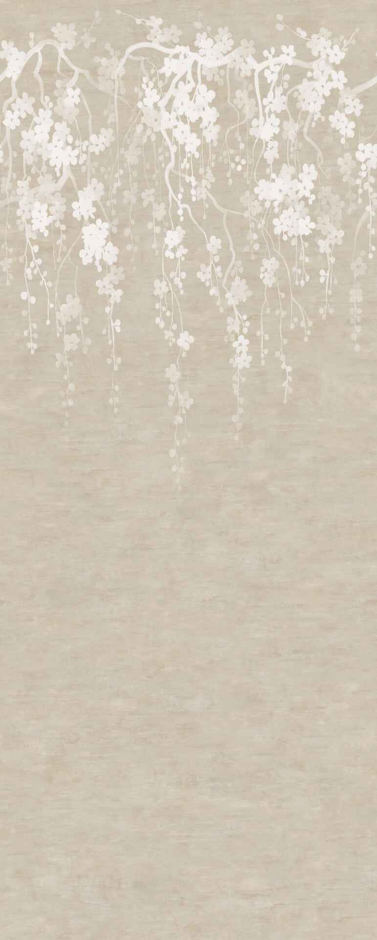 Sakura Blooms Neutral Wall Mural - York Wallcoverings - ZA8059M - York Wallcoverings Wallpaper
