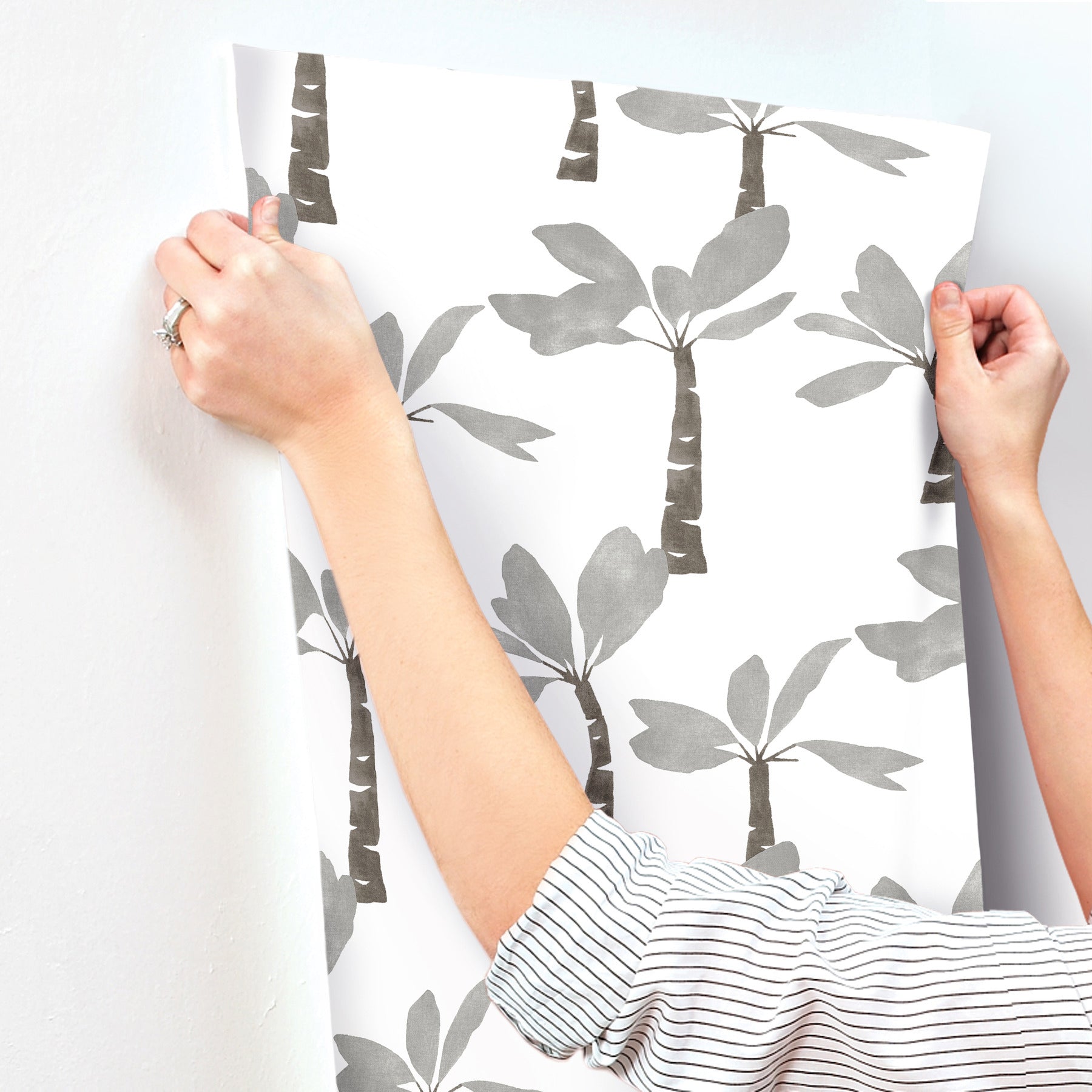 painted-oasis-carbon-graphite-wallpaper-york-wallcoverings-zm2838 - York Wallcoverings Wallpaper