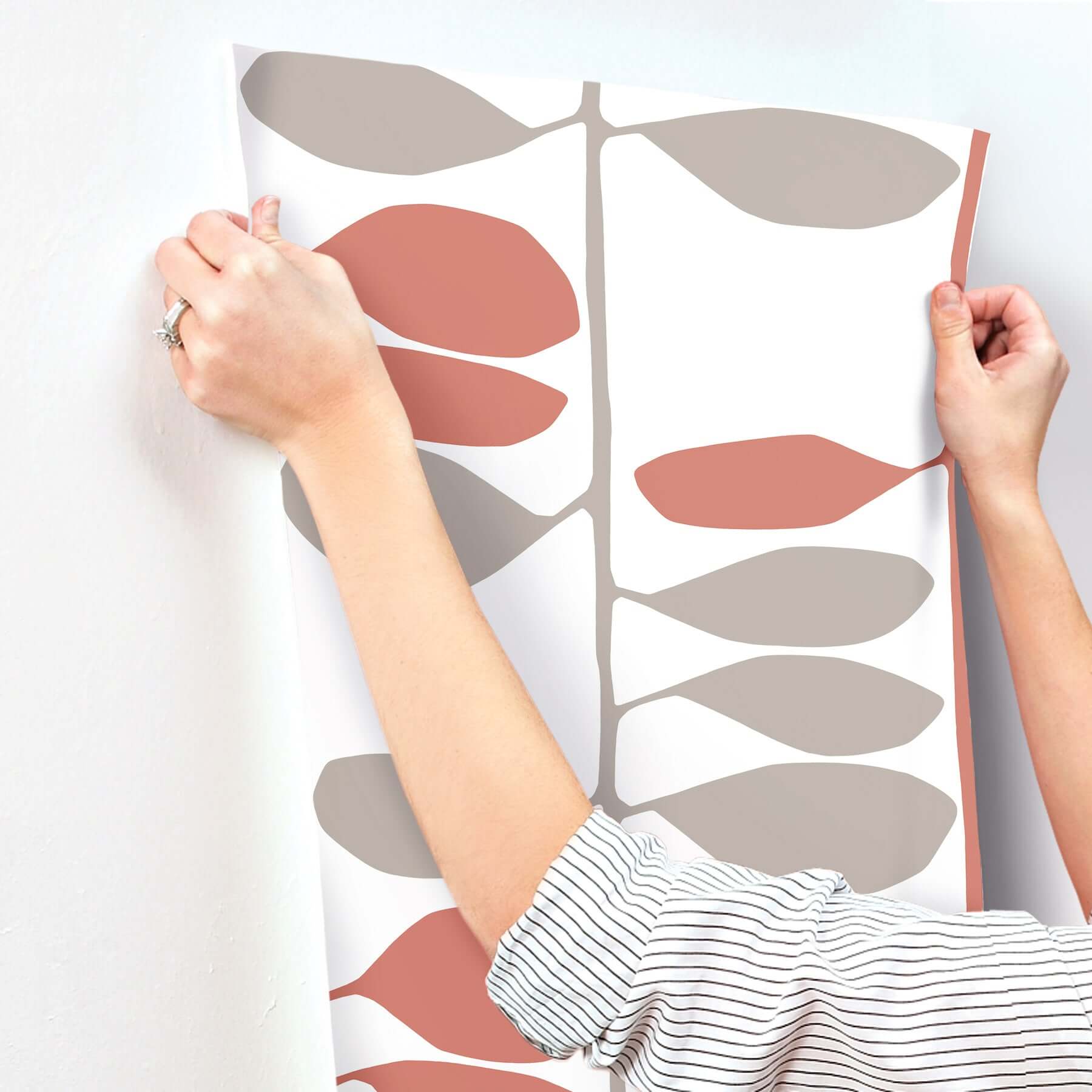 sculpted-vines-vermillion-graphite-wallpaper-york-wallcoverings-zm2802 - York Wallcoverings Wallpaper