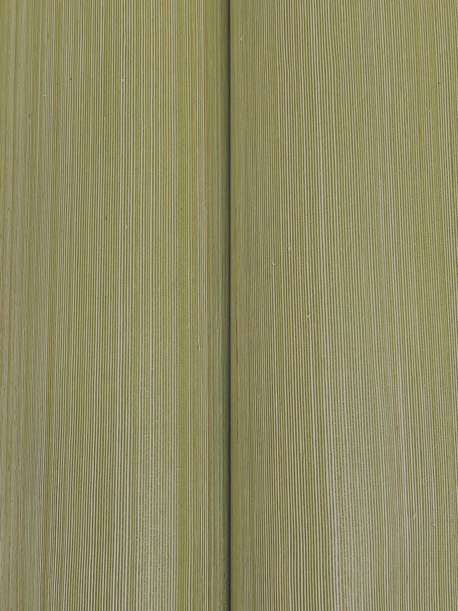 Smooth Abaca Moss Wallpaper - York Wallcoverings - GRL88366 - York Wallcoverings Wallpaper