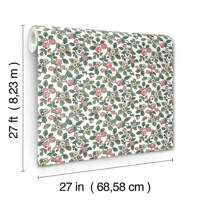 framboise-pink-berry-vines-wallpaper-york-wallcoverings-vp1412
