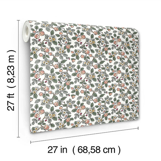 framboise-blush-berry-vines-wallpaper-york-wallcoverings-vp1414