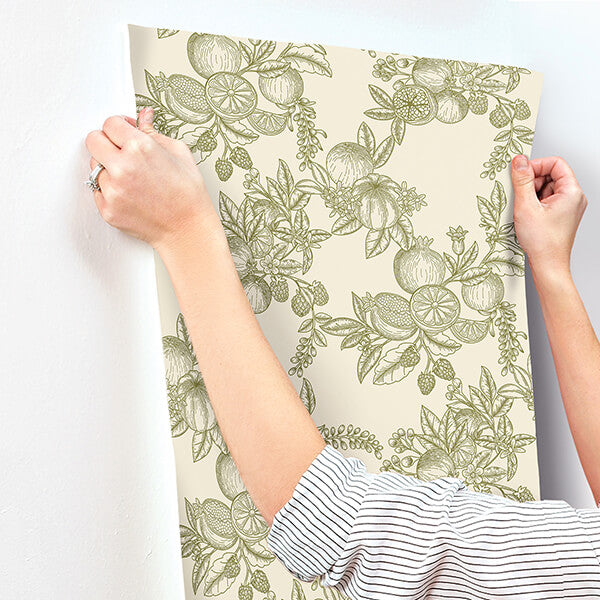 gerty-green-fruit-toile-wallpaper-york-wallcoverings-4173-27636 - York Wallcoverings Wallpaper