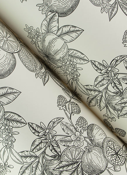 gerty-black-fruit-toile-wallpaper-york-wallcoverings-4173-27637