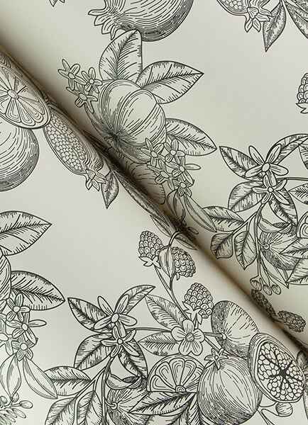 Gerty Black Fruit Toile Wallpaper - York Wallcoverings - 4173-27637 - York Wallcoverings Wallpaper
