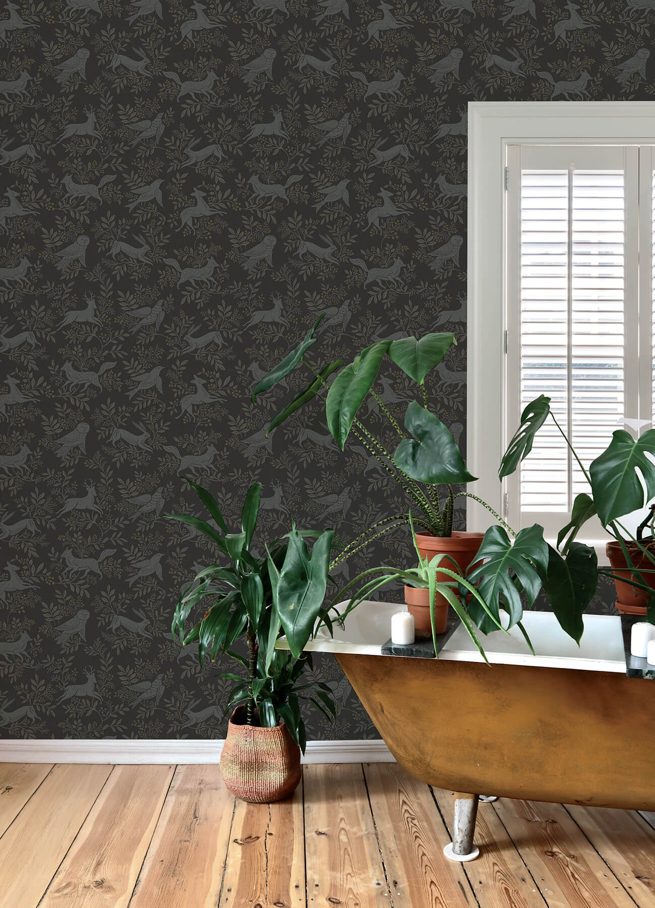 revelry-black-forest-frolic-wallpaper-york-wallcoverings-4169-83114 - York Wallcoverings Wallpaper