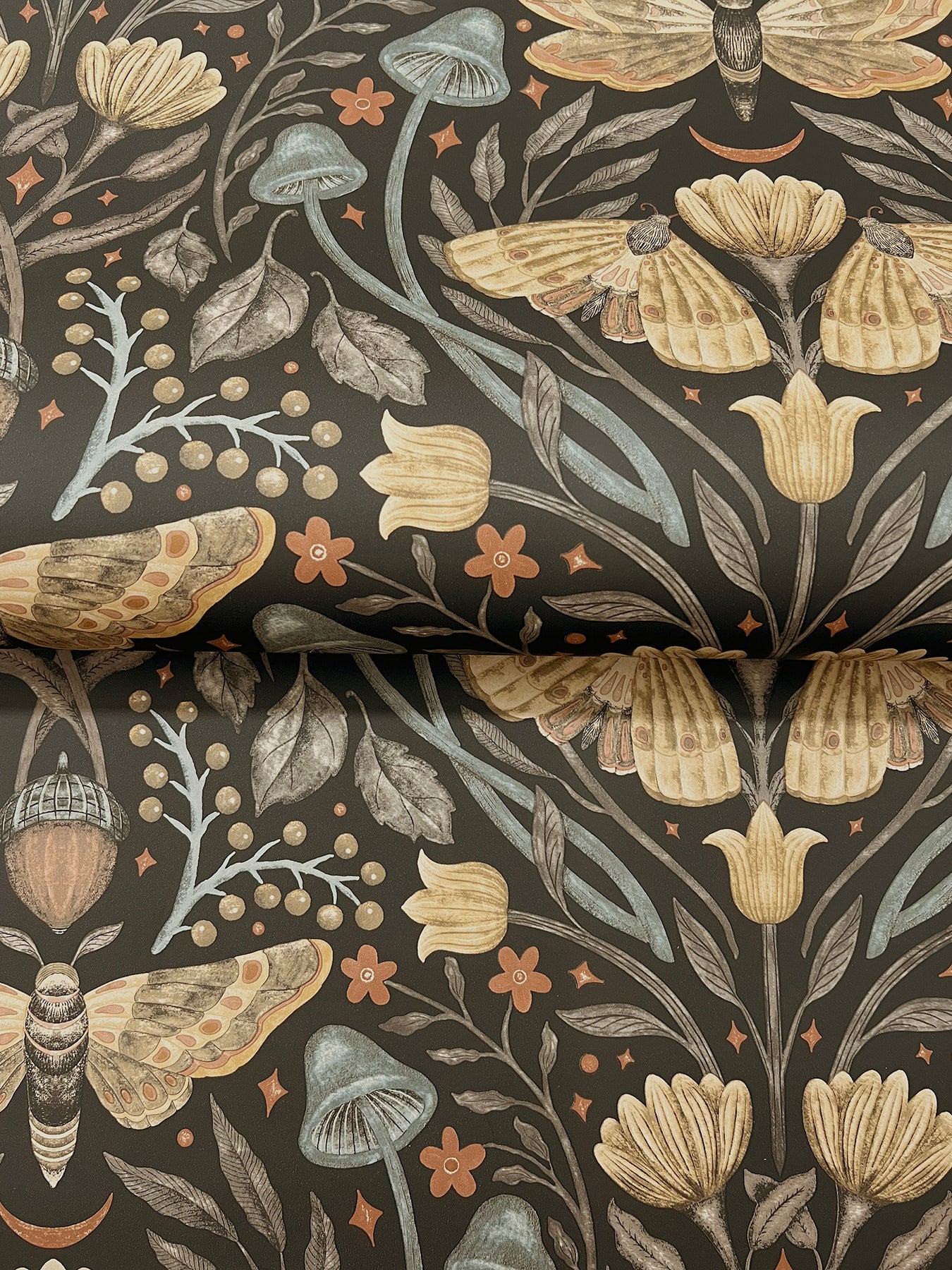 mystic-moth-black-forest-magic-wallpaper-york-wallcoverings-4169-83116