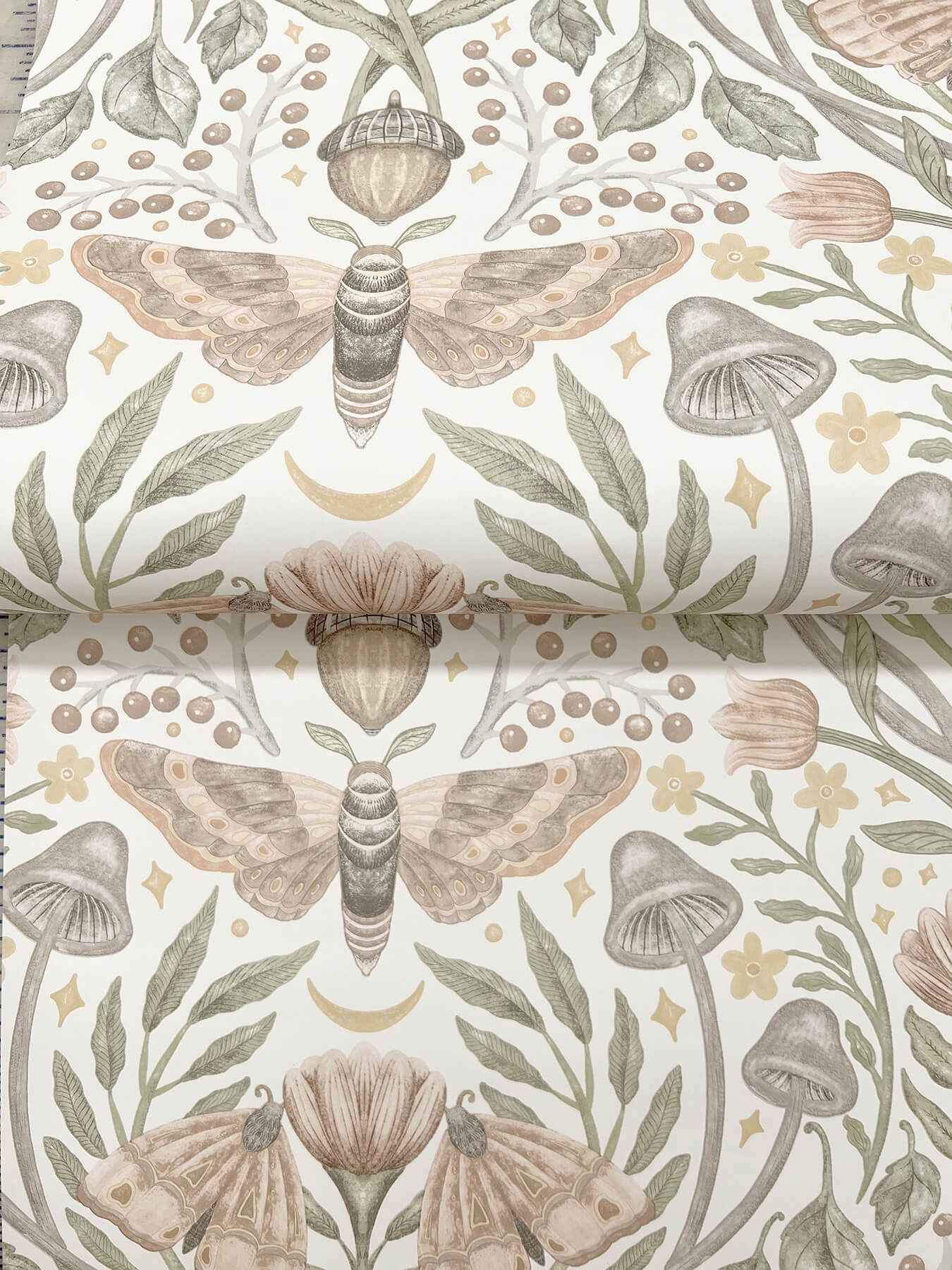 Mystic Moth Blush Forest Magic Wallpaper - York Wallcoverings - 4169-83119 - York Wallcoverings Wallpaper