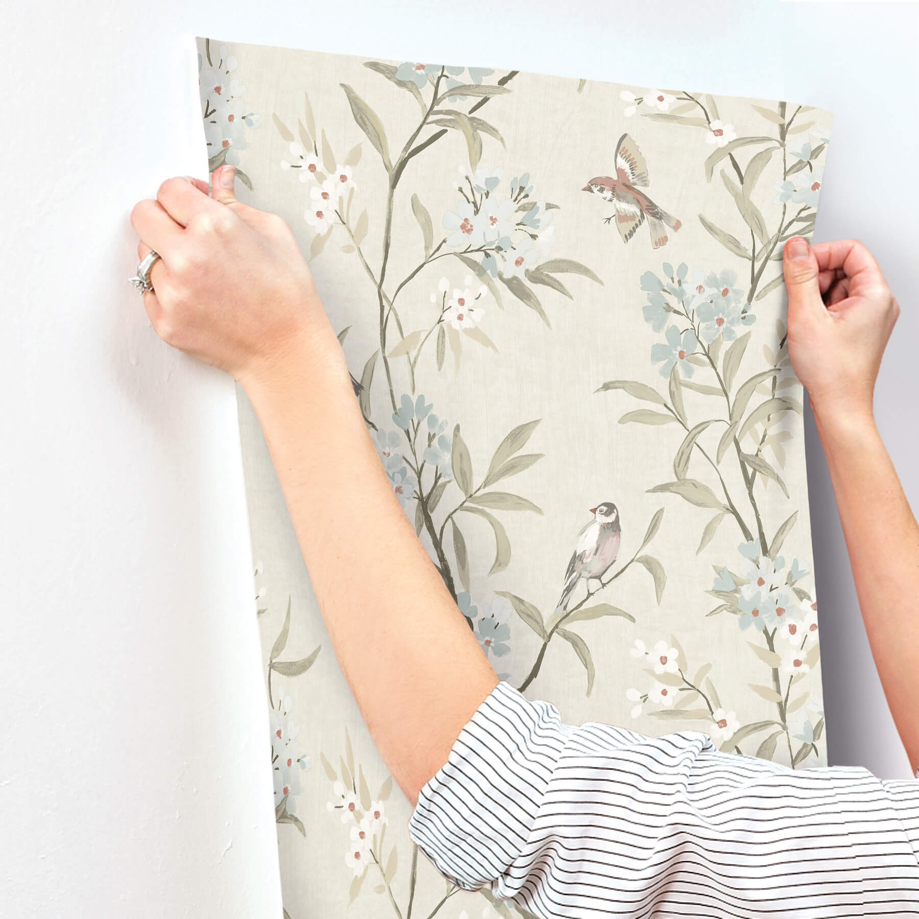 tea-olive-beige-finch-frolic-wallpaper-york-wallcoverings-4169-83137 - York Wallcoverings Wallpaper