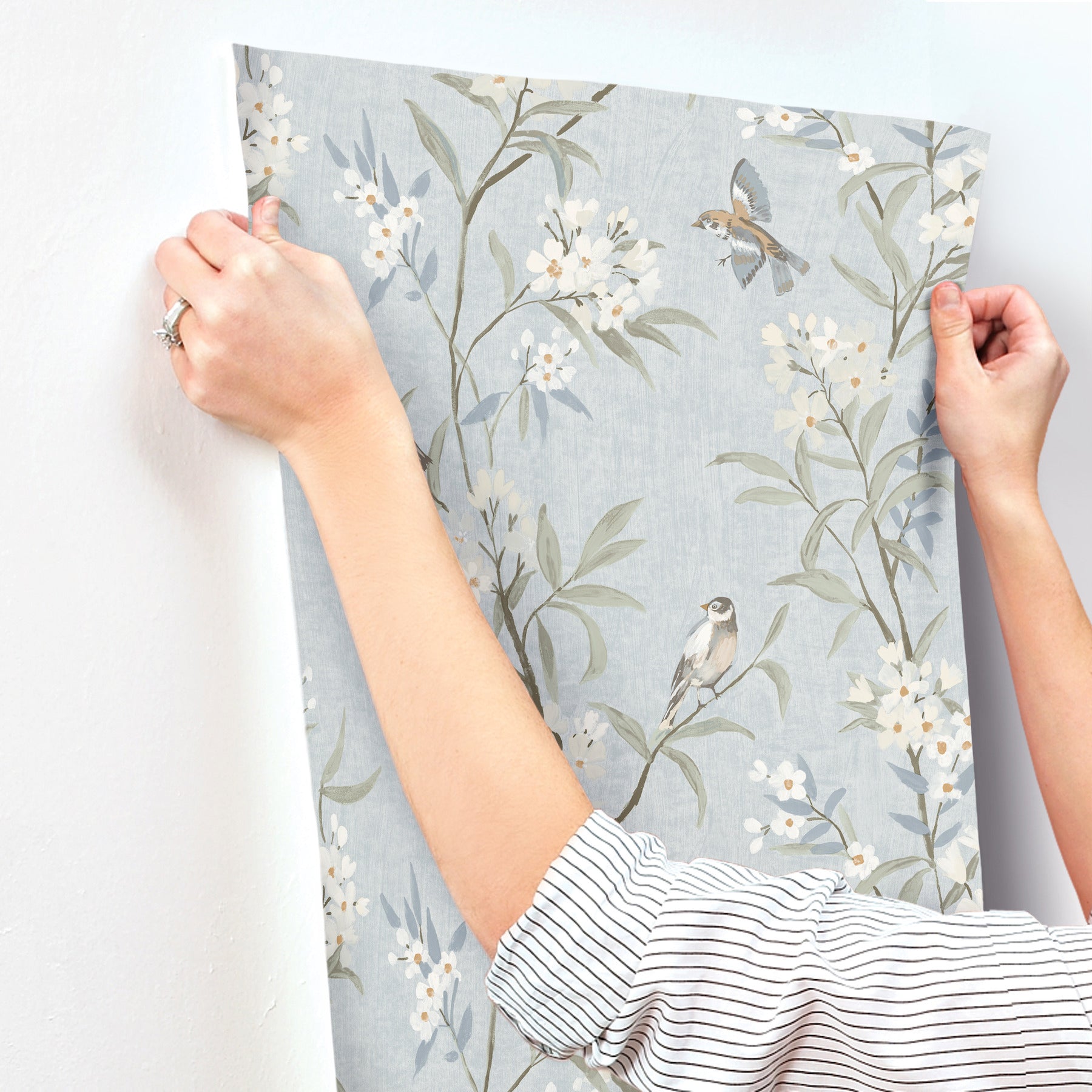 tea-olive-light-blue-finch-frolic-wallpaper-york-wallcoverings-4169-83140