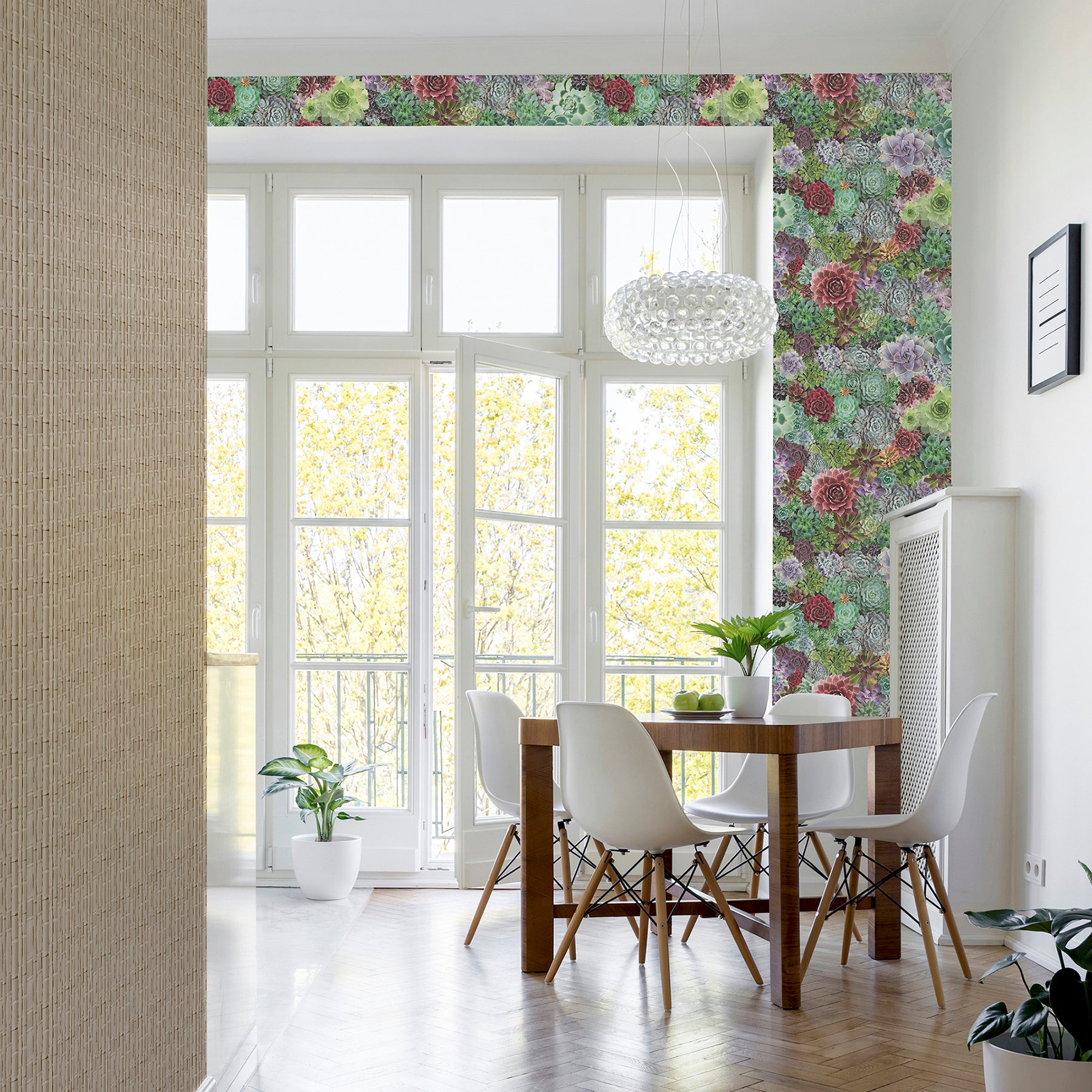 rhea-multicolor-succulents-wallpaper-york-wallcoverings-ah259402 - York Wallcoverings Wallpaper