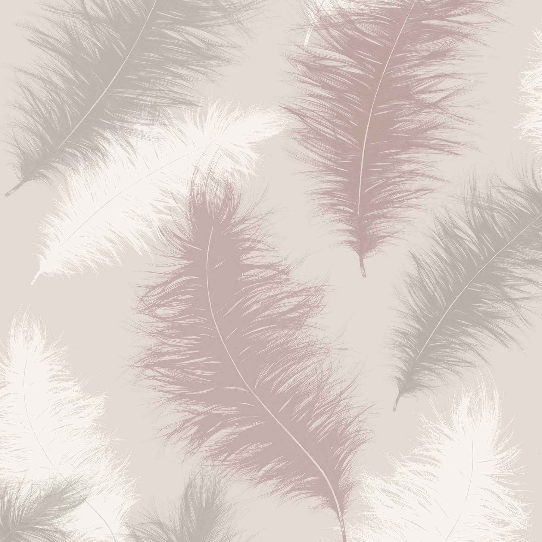 Sussurro Pink Feathers Wallpaper - York Wallcoverings - AH901706 - York Wallcoverings Wallpaper
