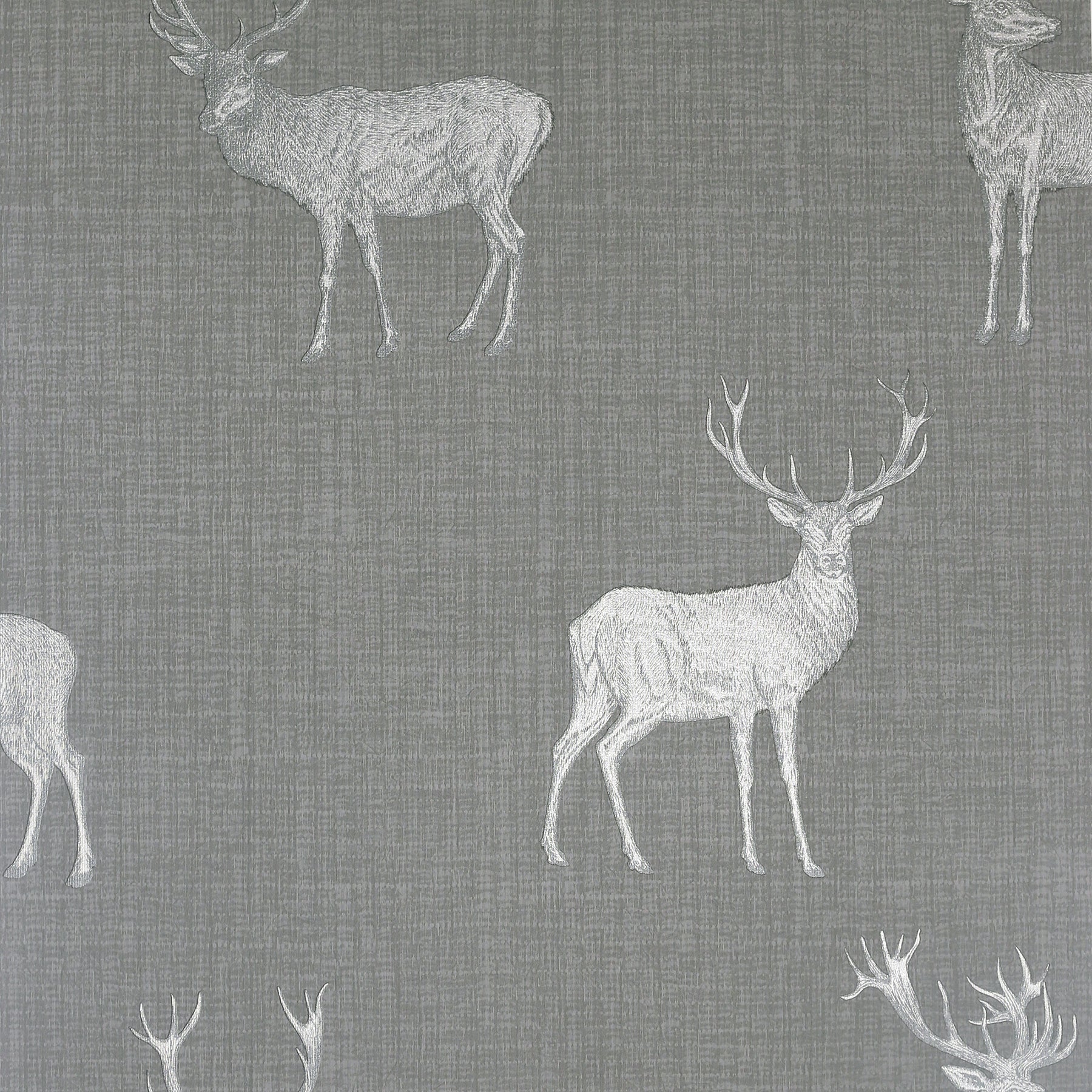 hank-grey-stag-wallpaper-york-wallcoverings-ah909608 - York Wallcoverings Papel pintado