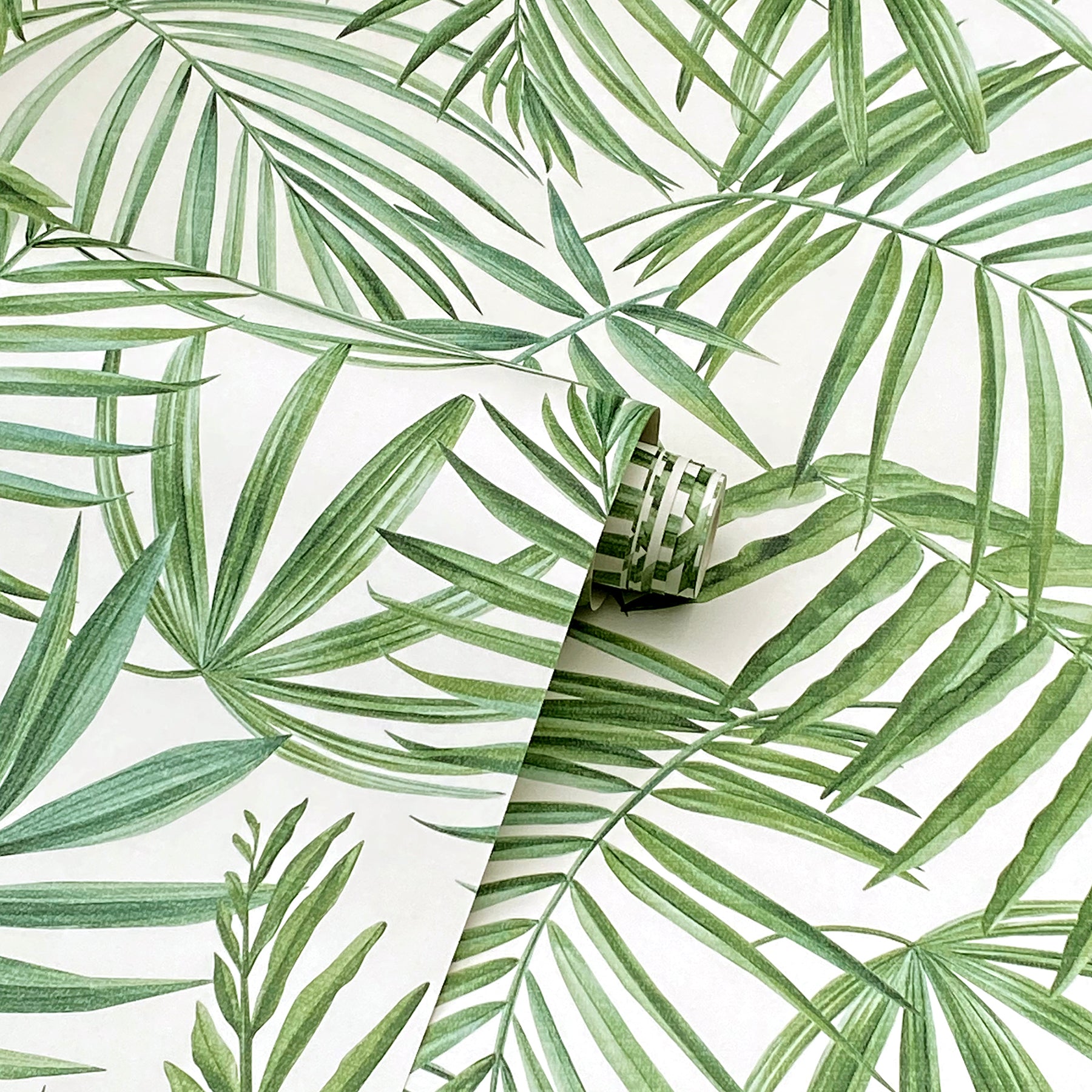 juan-green-palm-leaves-wallpaper-york-wallcoverings-ah923909 - York Wallcoverings Wallpaper