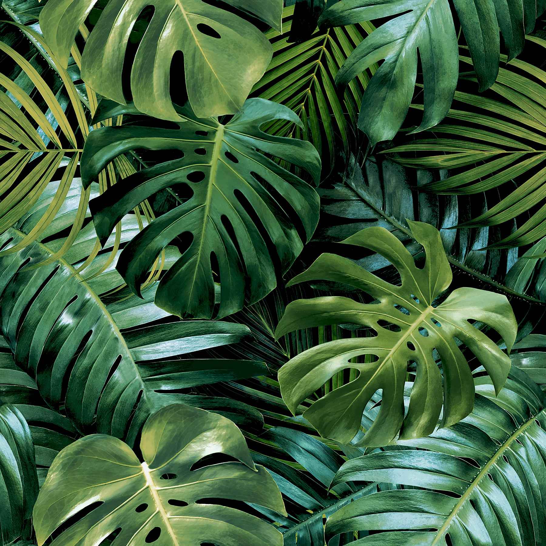 Harlynn Green Monstera Wallpaper - York Wallcoverings - AH924108 - York Wallcoverings Wallpaper