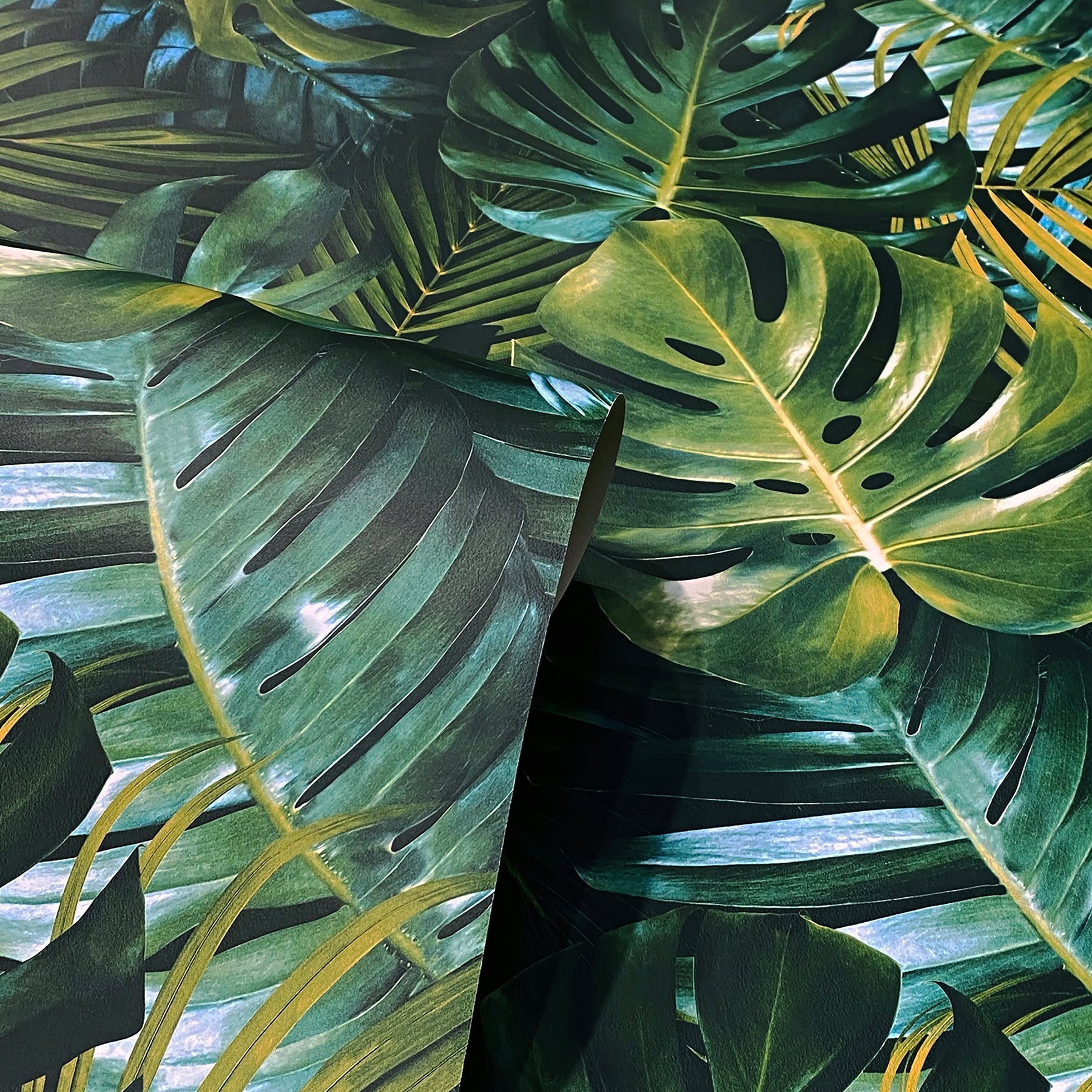 harlynn-green-monstera-wallpaper-york-wallcoverings-ah924108 - York Wallcoverings Wallpaper