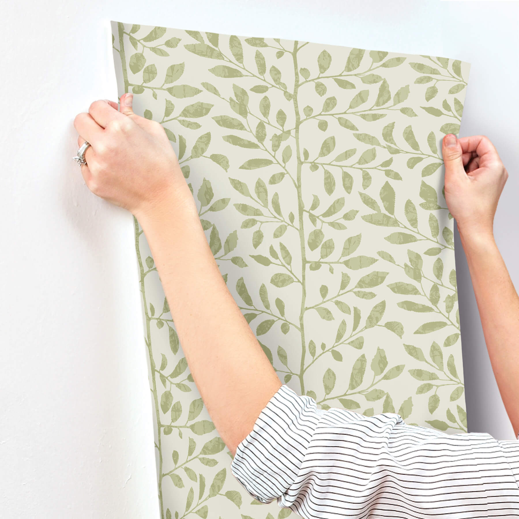 sagecrest-sage-sapling-wallpaper-york-wallcoverings-4177-83305 - York Wallcoverings Papel pintado