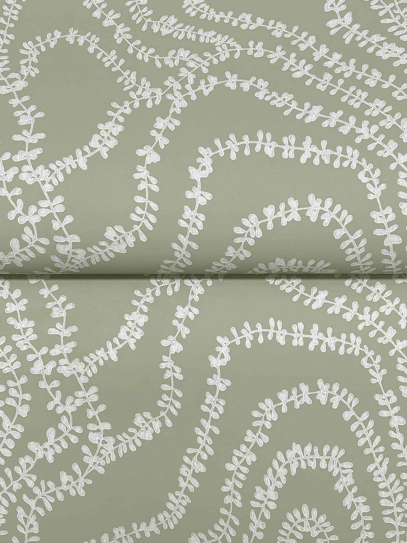 String of Pearls Sage Vine Wallpaper - York Wallcoverings - VR1513 - York Wallcoverings Wallpaper