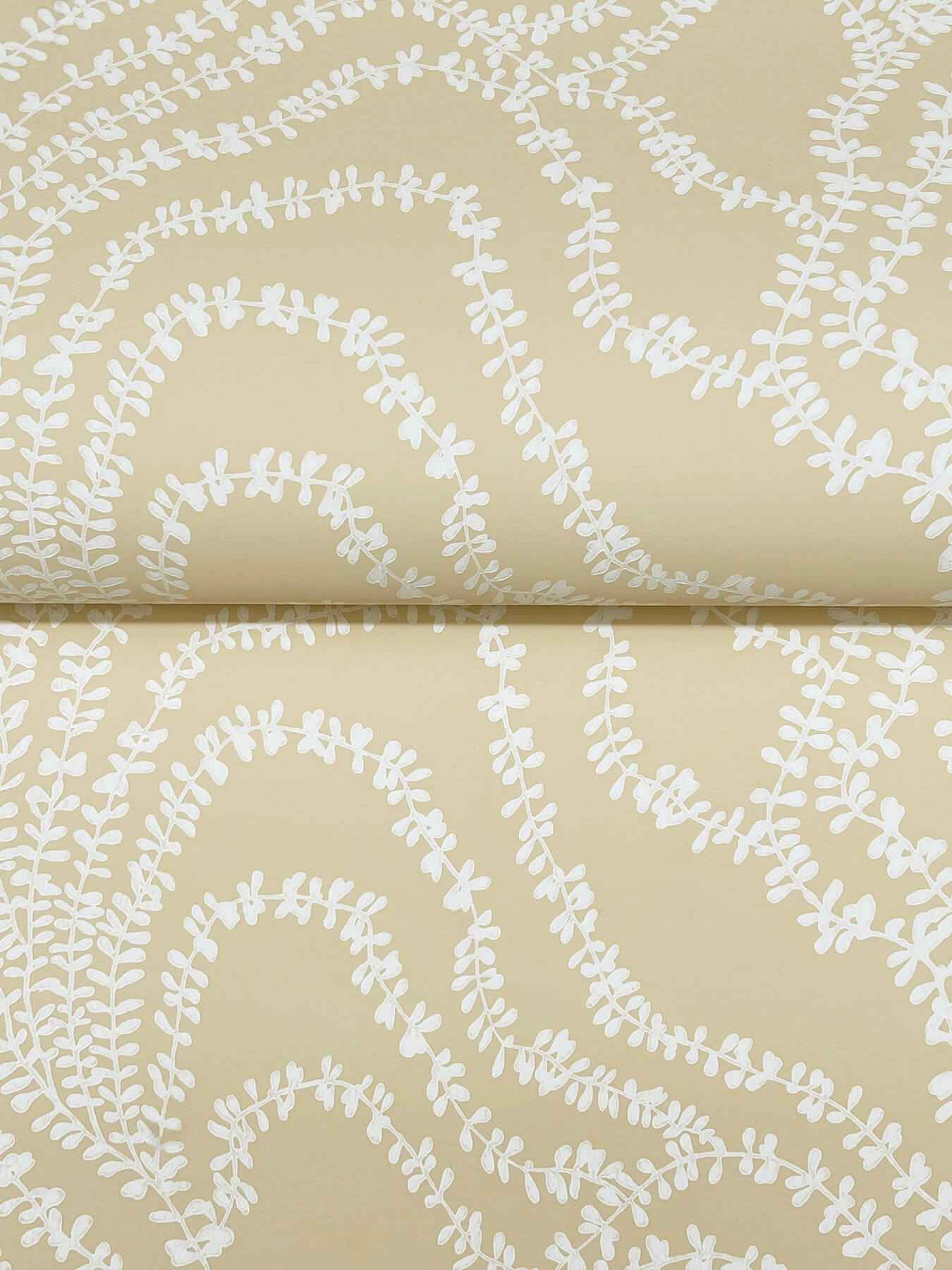 String of Pearls Butter Vine Wallpaper - York Wallcoverings - VR1515 - York Wallcoverings Wallpaper