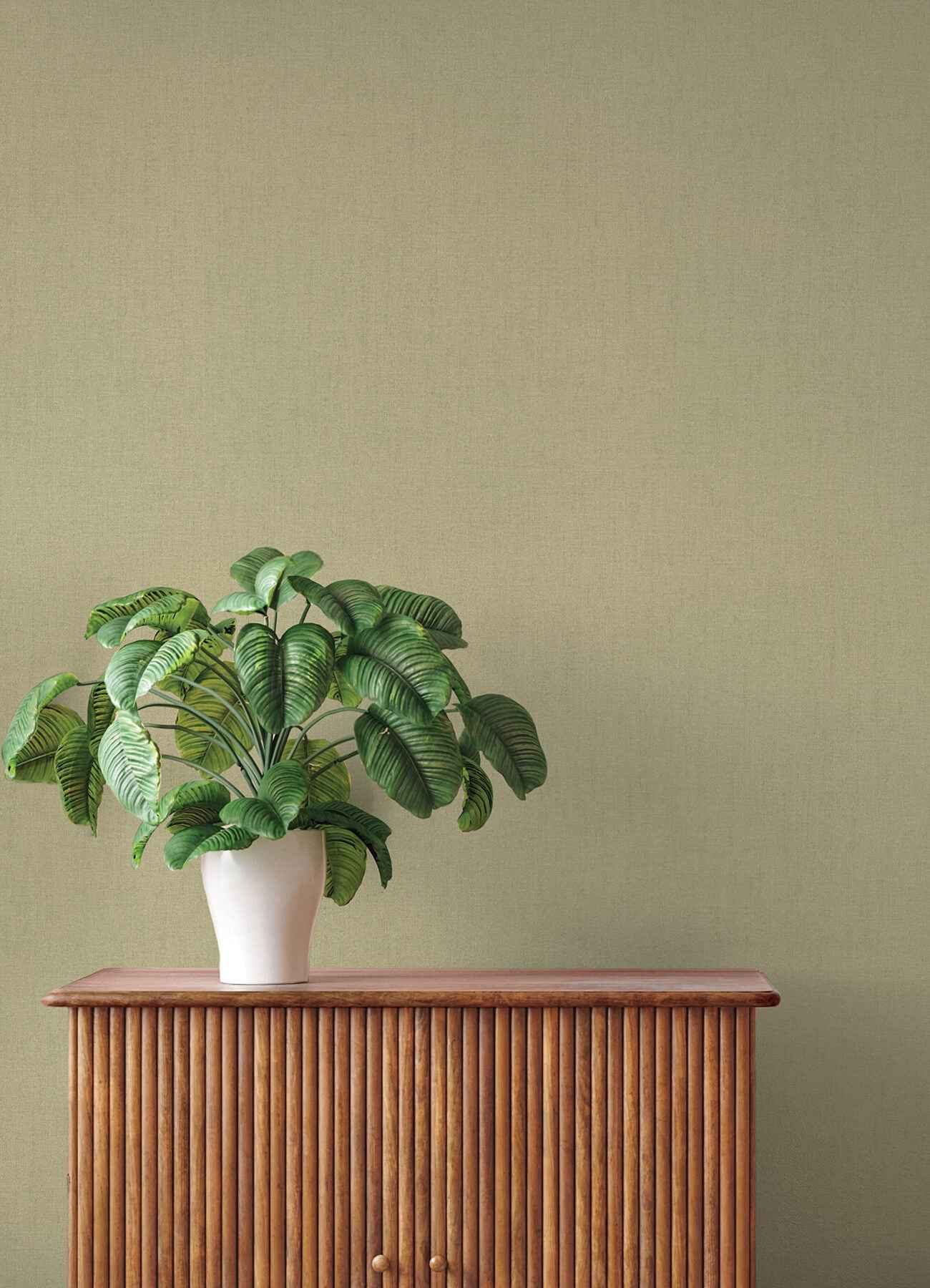 Naim Olive Solid Texture Wallpaper - York Wallcoverings - 4202-484687 - York Wallcoverings Wallpaper