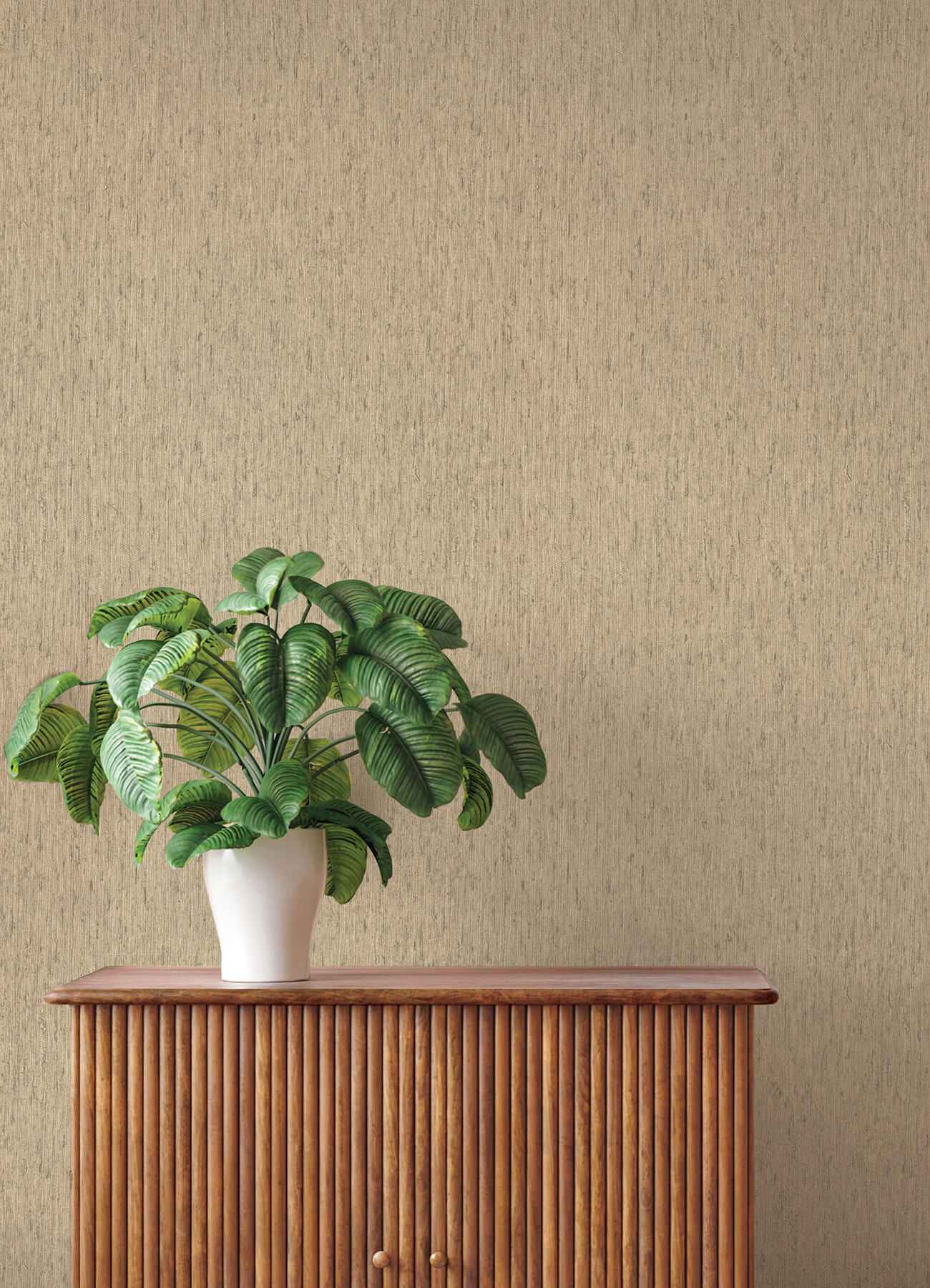 Roison Khaki Birch Bark Wallpaper - York Wallcoverings - 4202-571066 - York Wallcoverings Wallpaper