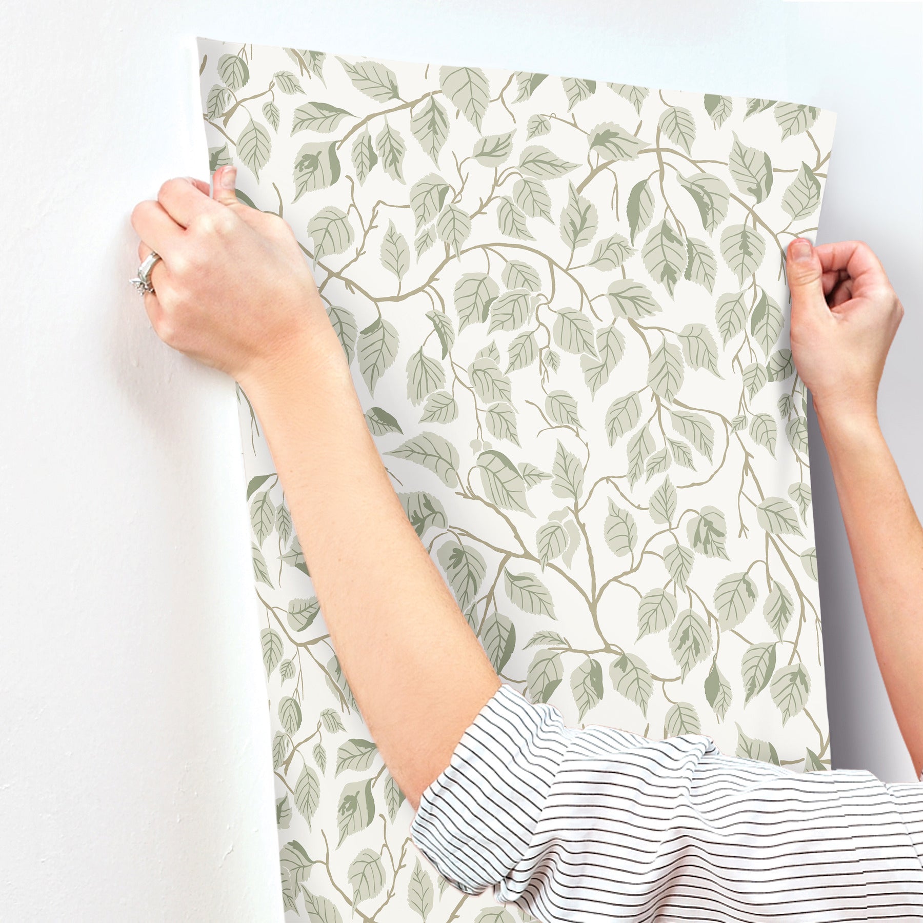 hngbjrk-sage-vine-wallpaper-york-wallcoverings-4201-20107