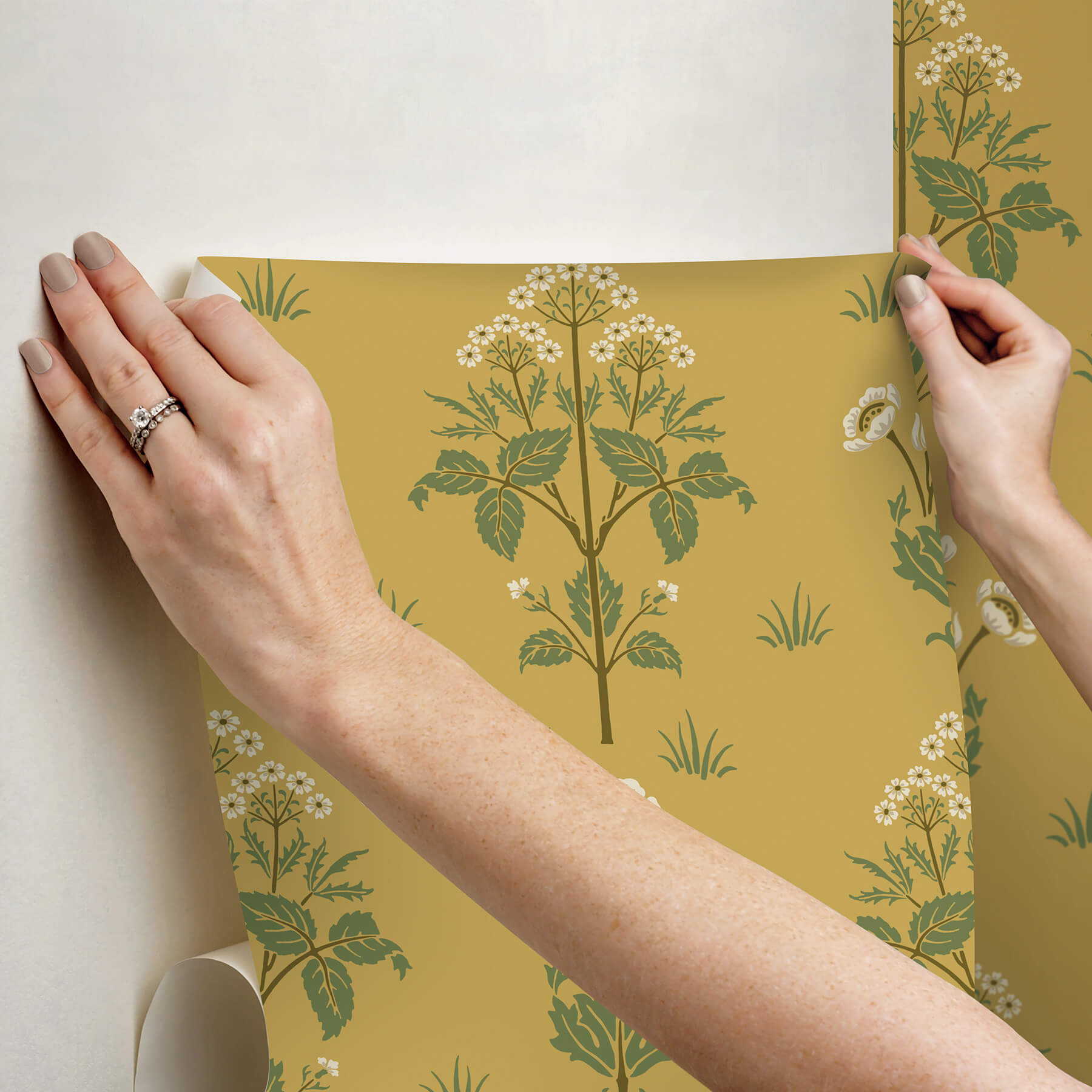 meadow-sweet-saffron-and-thyme-peel-and-stick-wallpaper-york-wallcoverings-mcs6607 - York Wallcoverings Wallpaper