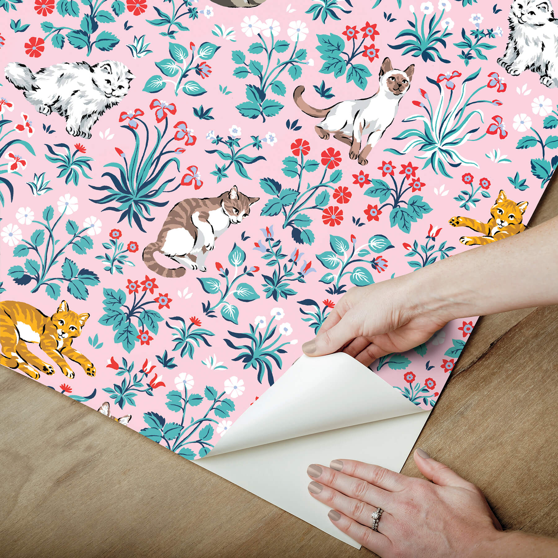 must-love-cats-pink-peel-and-stick-wallpaper-york-wallcoverings-pfs6569 - York Wallcoverings Wallpaper