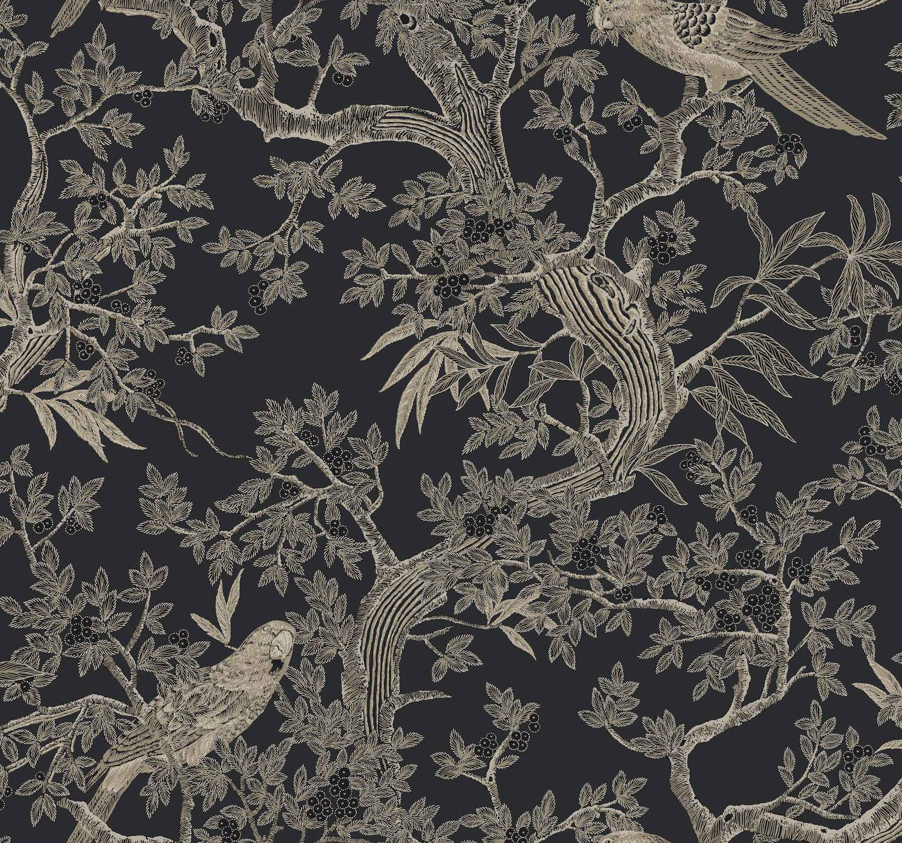Regal Ridge Black Trailing Tree Wallpaper - York Wallcoverings - 4211-83570