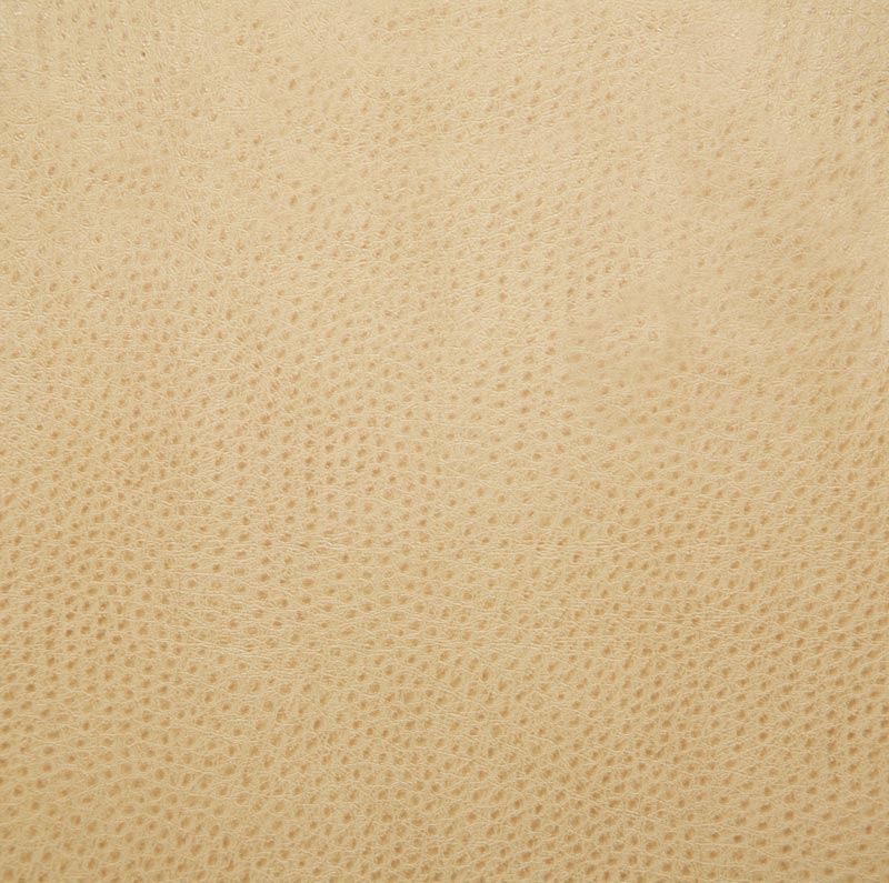 1014-outback-flax-pindler - Pindler Fabric