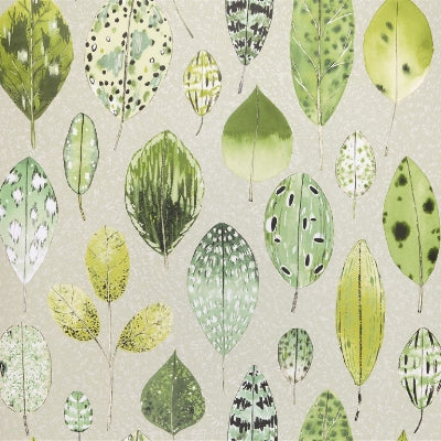 tulsi-designers-guild-pdg1060-05