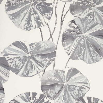 brahmi-designers-guild-pdg1061-03
