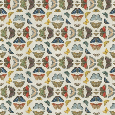 mirrored-butterflies-john-derian-fjd6016-01
