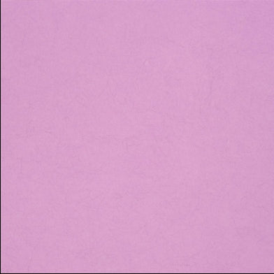 ernani-designers-guild-p502-40