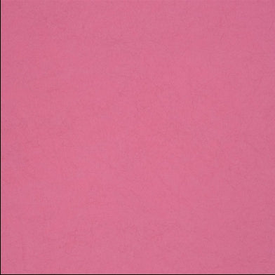 ernani-designers-guild-p502-41
