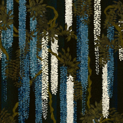 wisteria-alba-ruisseau-christian-lacroix-pcl7032-02