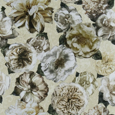 pahari-vanilla-designers-guild-pdg1128-03