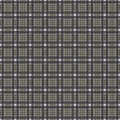 patiali-birch-designers-guild-fdg3028-04